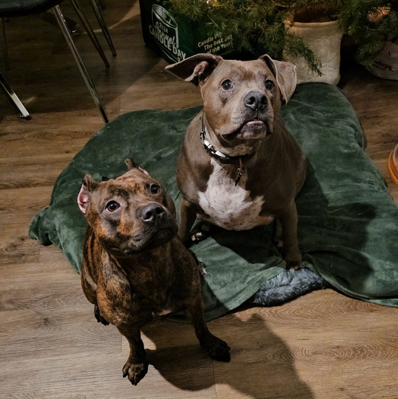 Welcome to Haute Cali 💋 - Picture 10 of 12